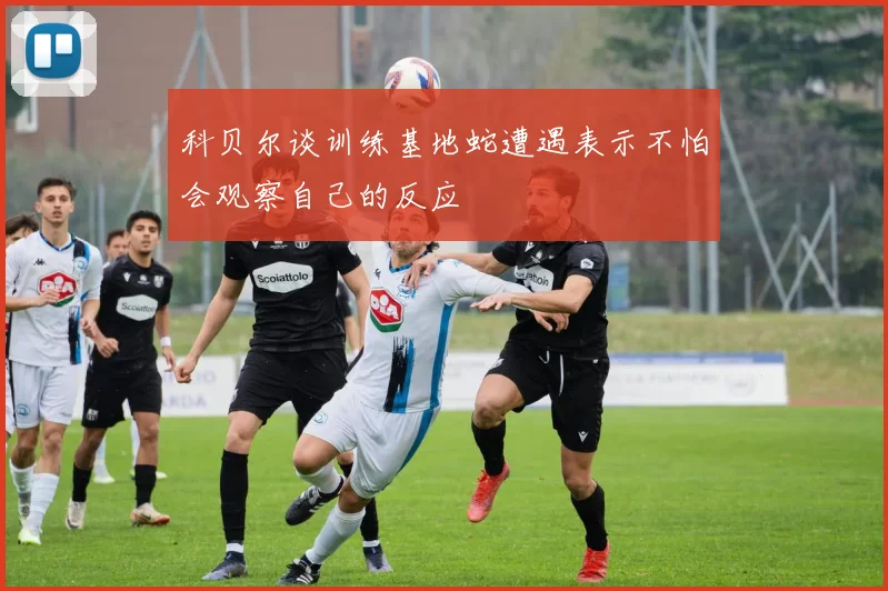 科贝尔谈训练基地蛇遭遇表示不怕会观察自己的反应